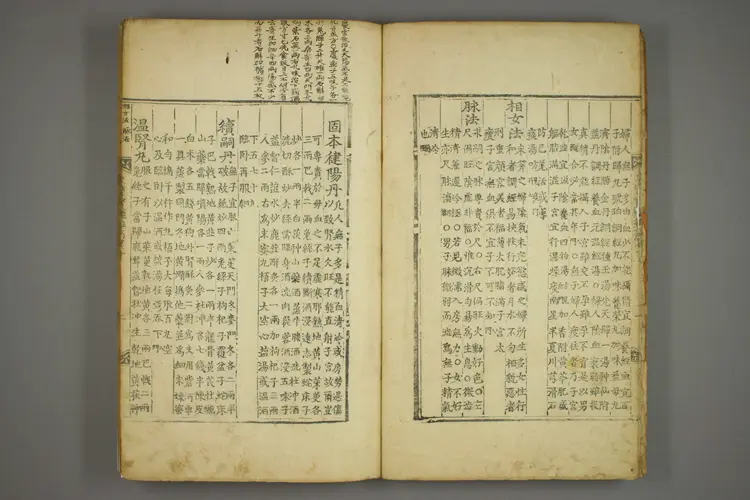 东医宝鉴卷二十