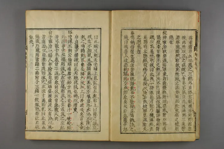 古今名医类案卷六 古今名医类案卷六