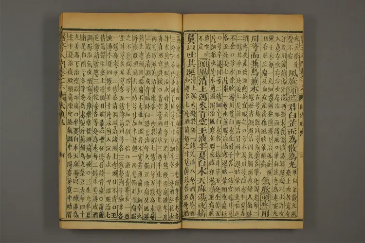 医学入门卷十三 医学入门卷十三