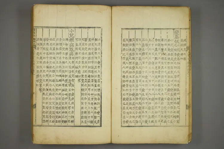 东医宝鉴卷二十一 东医宝鉴卷二十一