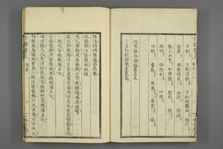 一本堂行余医言卷二十