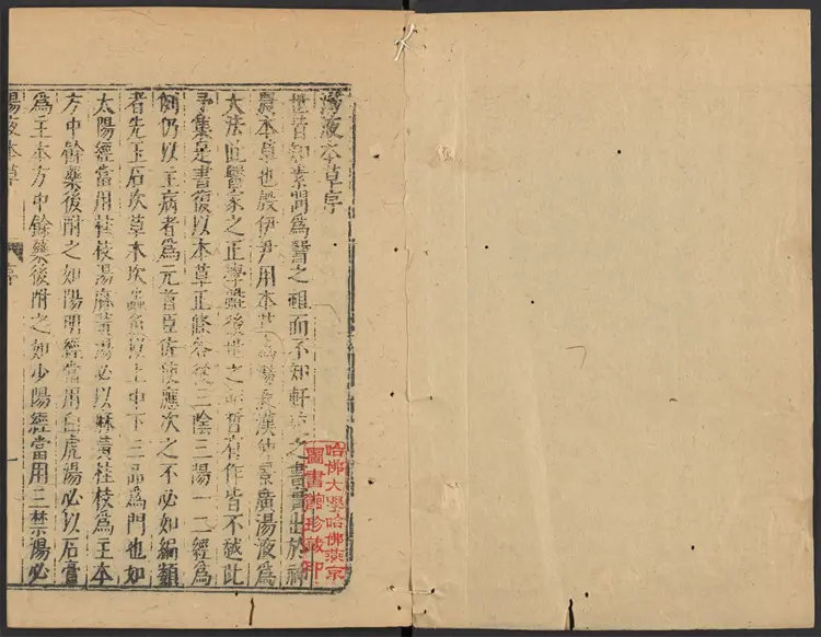 哈佛大学版汤液本草 哈佛大学版汤液本草