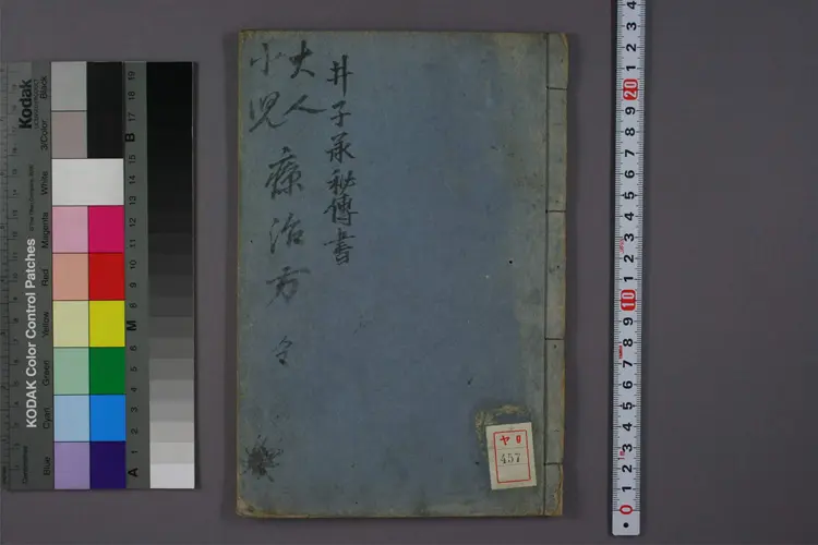 大人小儿疗治方