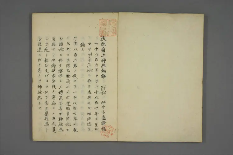 扶歇兰土神经热论