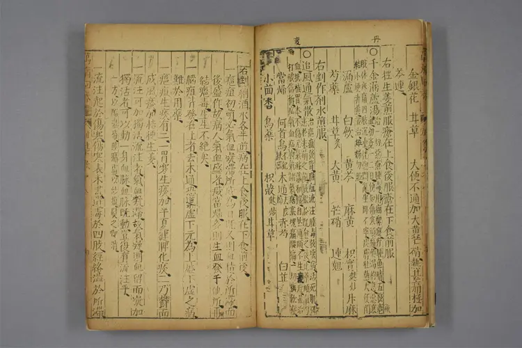 增补万病回春卷八 增补万病回春卷八