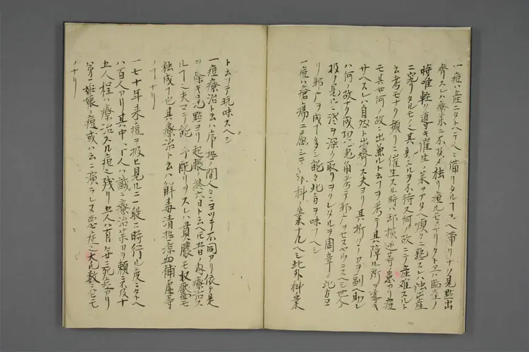 吉田先生痘疮一言