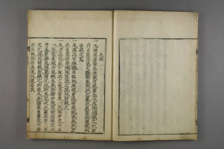 医学正传或问 医学正传或问