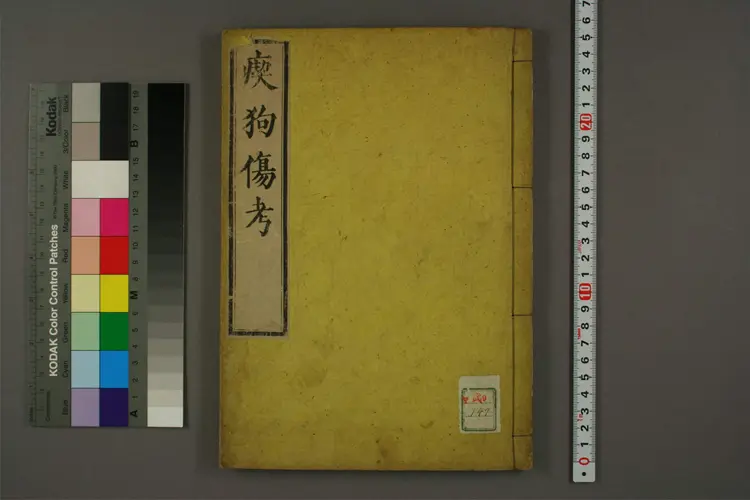 吃狗伤考 吃狗伤考