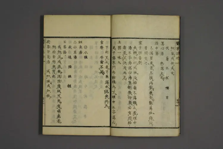 一本堂医事说约卷二