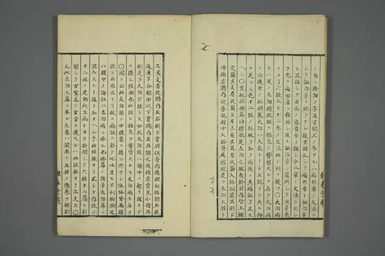 伤寒五种传卷二 伤寒五种传卷二