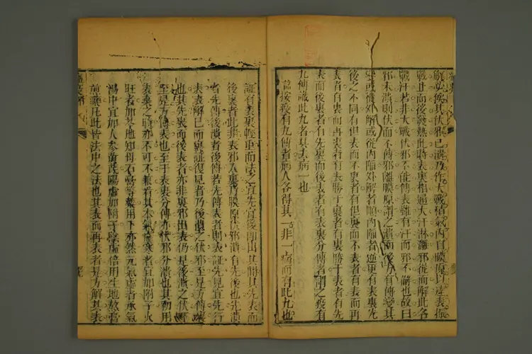 伤寒集注卷六 伤寒集注卷六