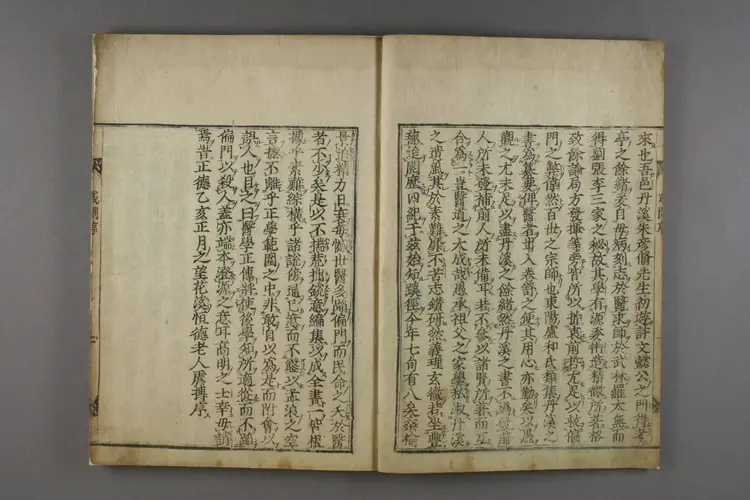 医学正传或问 医学正传或问