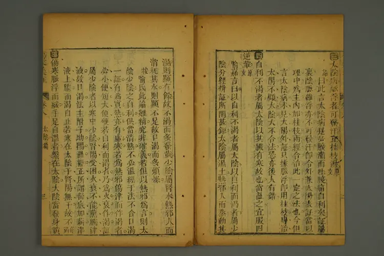 伤寒集注卷四 伤寒集注卷四