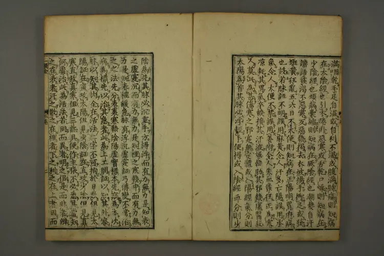 伤寒六书(卷五一提金,卷六截江纲) 伤寒六书(卷五一提金,卷六截江纲)