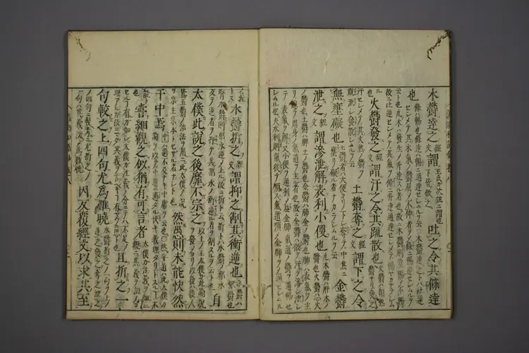 医经溯洄集和语钞卷八