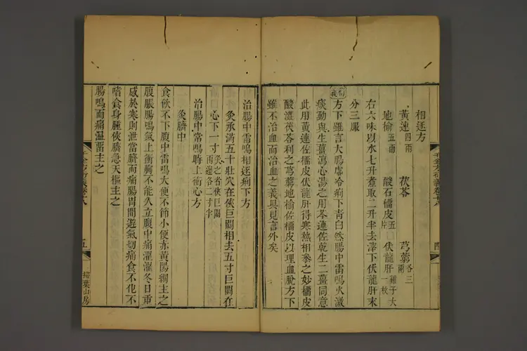 千金方衍义卷二十四