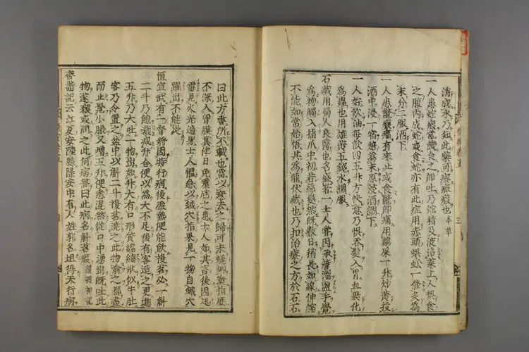 古今名医类案卷五 古今名医类案卷五