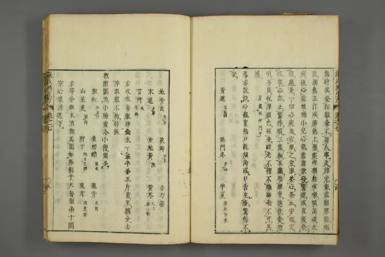 严氏济生方卷四 严氏济生方卷四