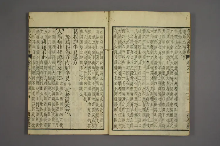 伤寒论特解卷二