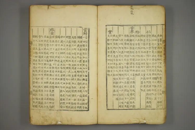 东医宝鉴卷二十四 东医宝鉴卷二十四