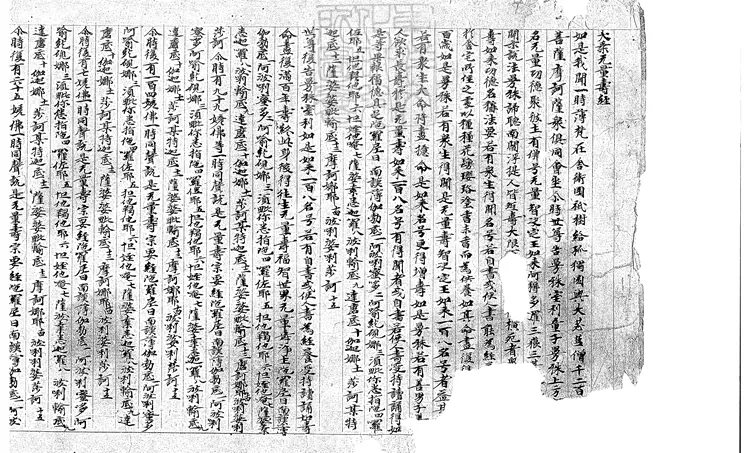 500 無量壽宗要經殘一卷　唐鈔本