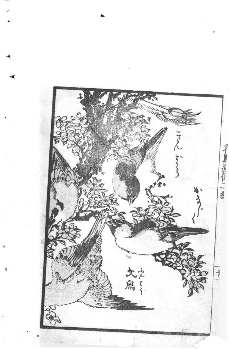 花鸟画传. 2 花鸟画传. 2