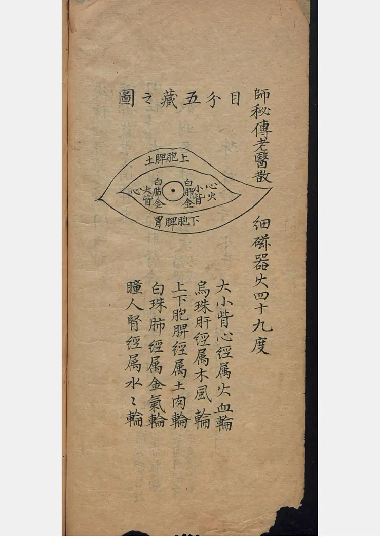 医师秘传眼方 医师秘传眼方