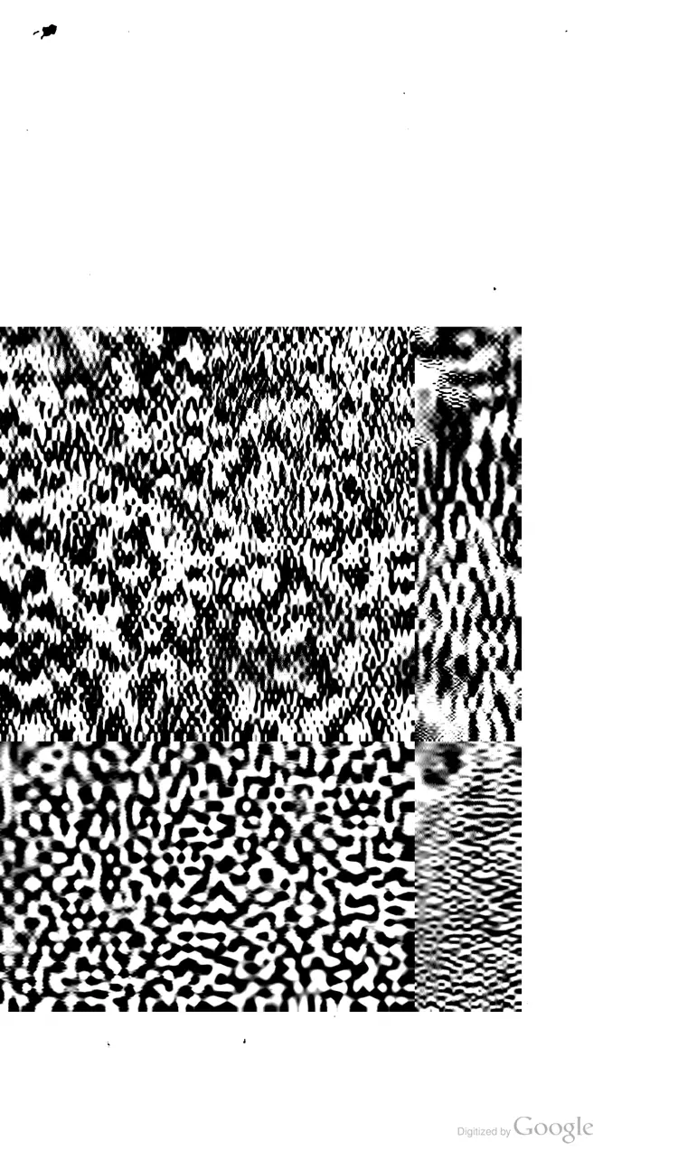 元包经传.限美 元包经传.限美