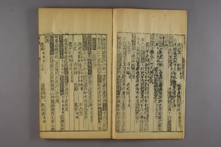 人斋直指卷四 人斋直指卷四