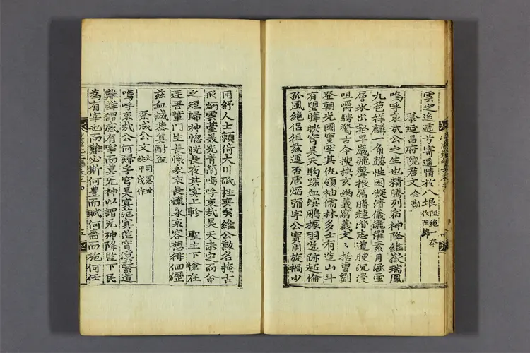 冲庵先生集 卷之1-5  金浄撰