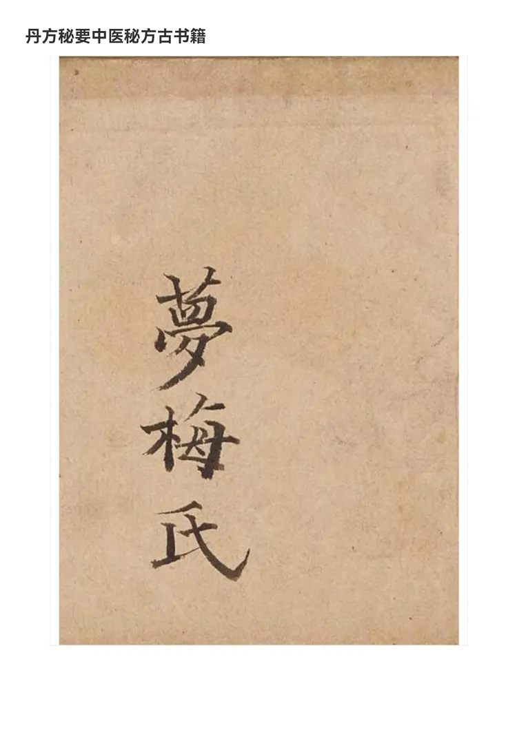 梦梅氏丹方秘要48页