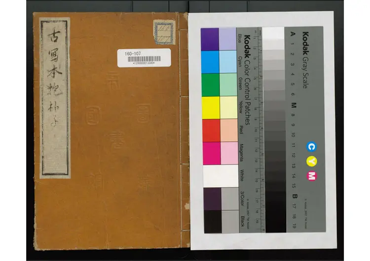 唐代写本抱朴子 唐代写本抱朴子