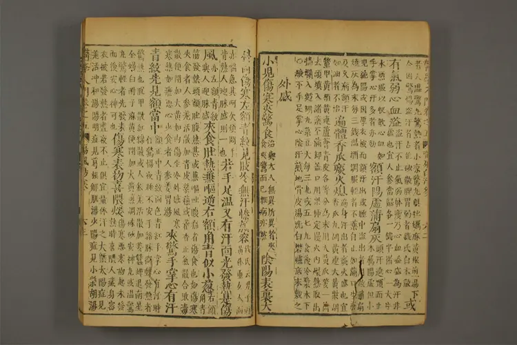 医学入门卷十二