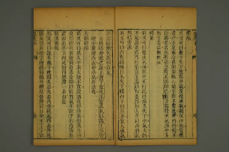 伤寒集注卷六 伤寒集注卷六