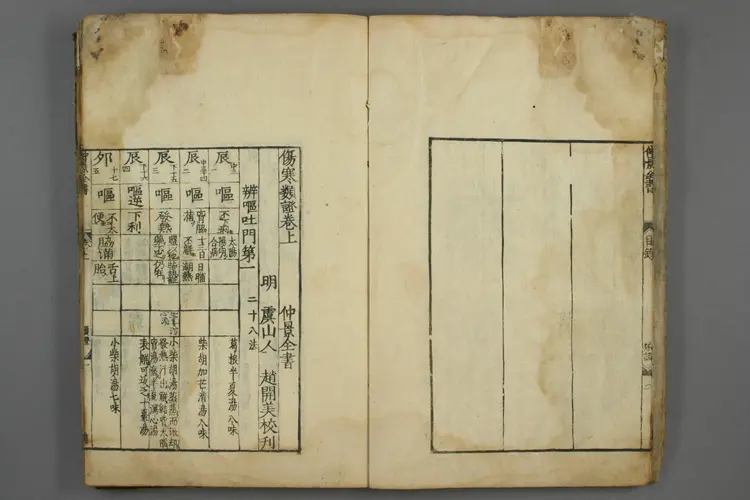 伤寒类证 伤寒类证