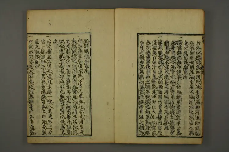 伤寒六书（杀车槌）卷四