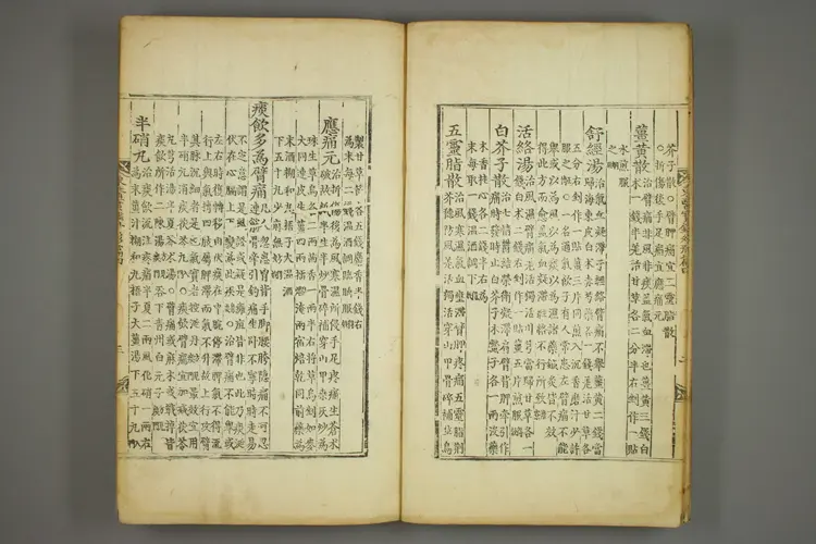 东医宝鉴卷十 东医宝鉴卷十