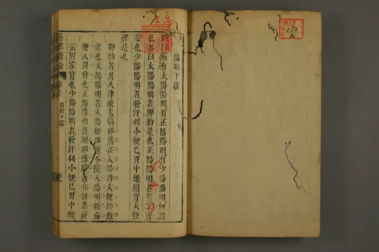 伤寒大成卷二 伤寒大成卷二