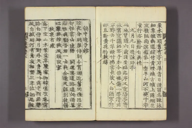 立巌集 卷之1-6,附录 閔斉仁撰 立巌集 卷之1-6,附录 閔斉仁撰