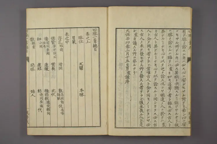 切脉一苇 切脉一苇