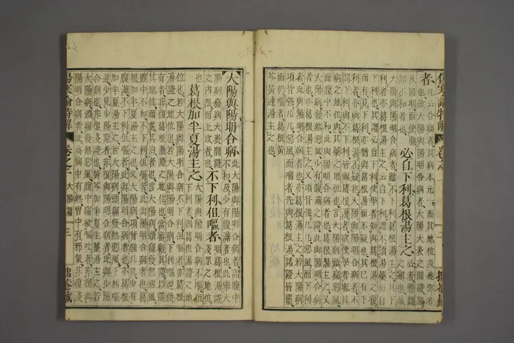 伤寒论特解卷二