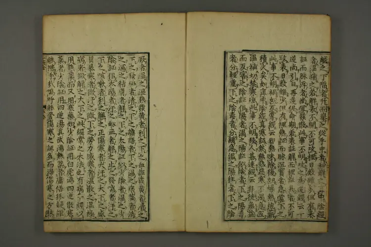 伤寒六书(卷五一提金,卷六截江纲) 伤寒六书(卷五一提金,卷六截江纲)