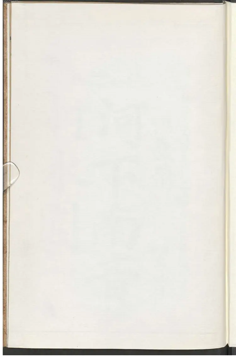 河下南音打水围