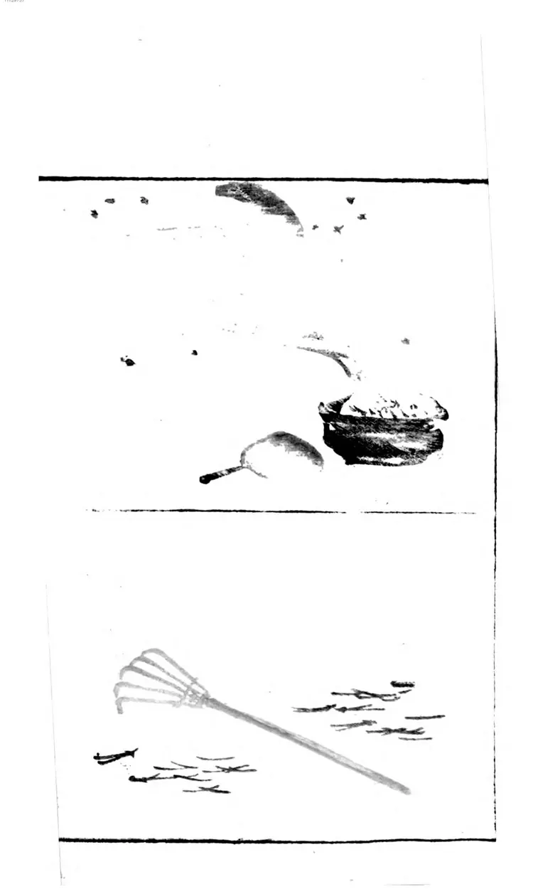 讃科画図蕙斋麁画