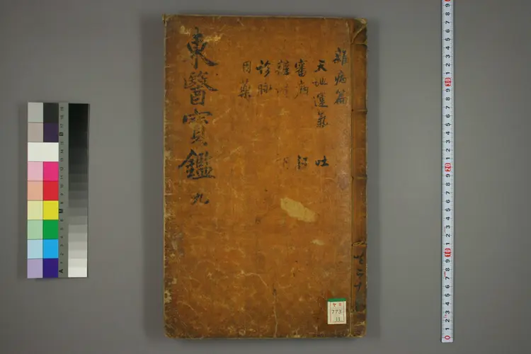 东医宝鉴卷十一 东医宝鉴卷十一