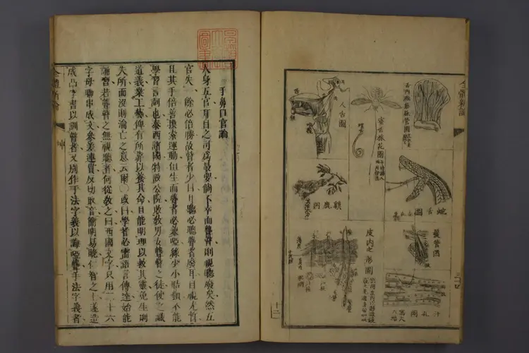 全体新论卷二 全体新论卷二