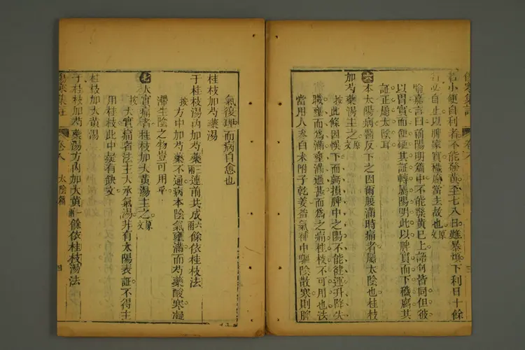 伤寒集注卷四 伤寒集注卷四