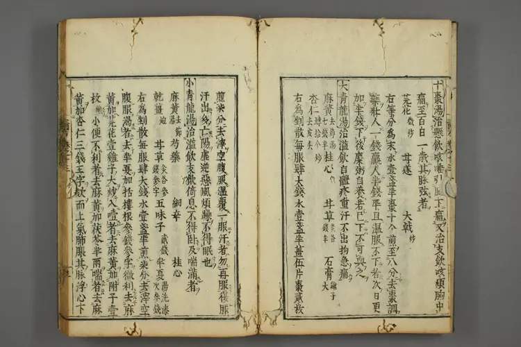 三因极一病证方论卷十三、十四