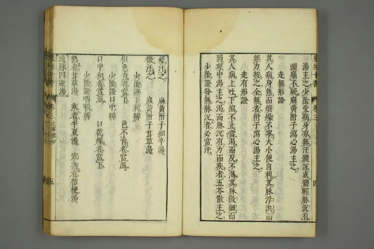 东垣十书卷十二 东垣十书卷十二