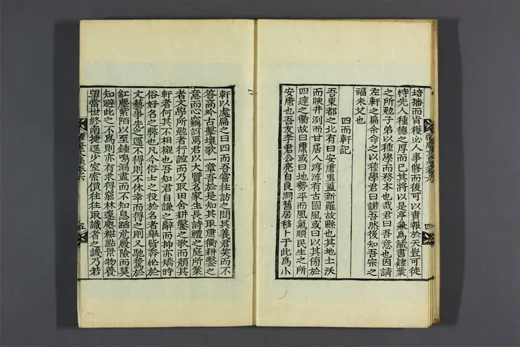 懼菴先生文集 卷之1-9  李樹仁撰